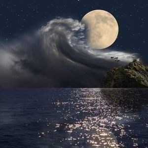 Meet your Posher, Christy